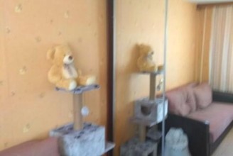 Приморское шоссе, 269 - м. Старая Деревня