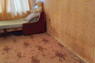 ул. Передовиков, 29 - м. Ладожская