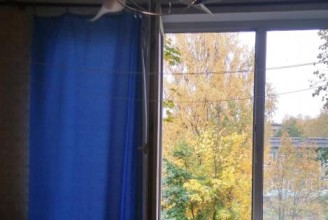 Дальневосточный пр-кт, 43 - м. Улица Дыбенко