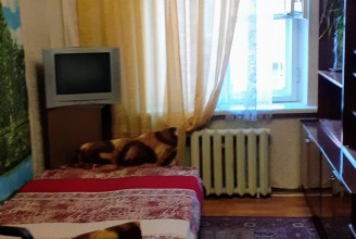 199178, г Санкт-Петербург, Василеостровский р-н, линия 17-я В.О., д 18
