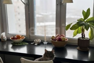 117186, г Москва, р-н Котловка, ул. Нагорная, д 20 к 5