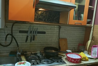 196627, г Санкт-Петербург, Пушкинский р-н, поселок Шушары, тер Ленсоветовский, д 1